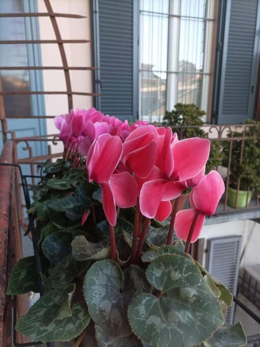 Pane E Tulipani, Cozy Apartment Near City Center ตูริน ภายนอก รูปภาพ